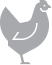 Species icons blk poultry